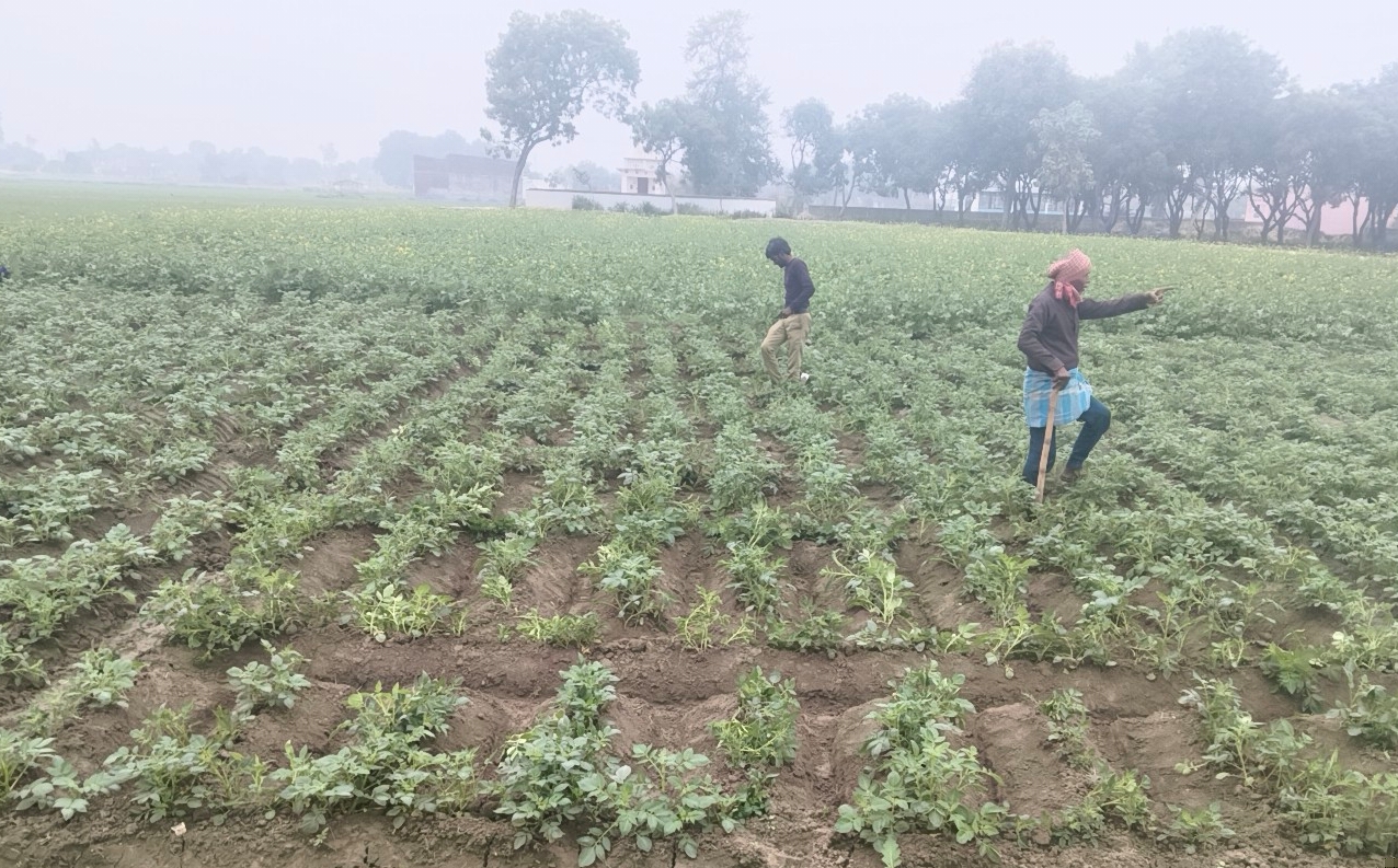 WINTER HEALTH ADVISORY