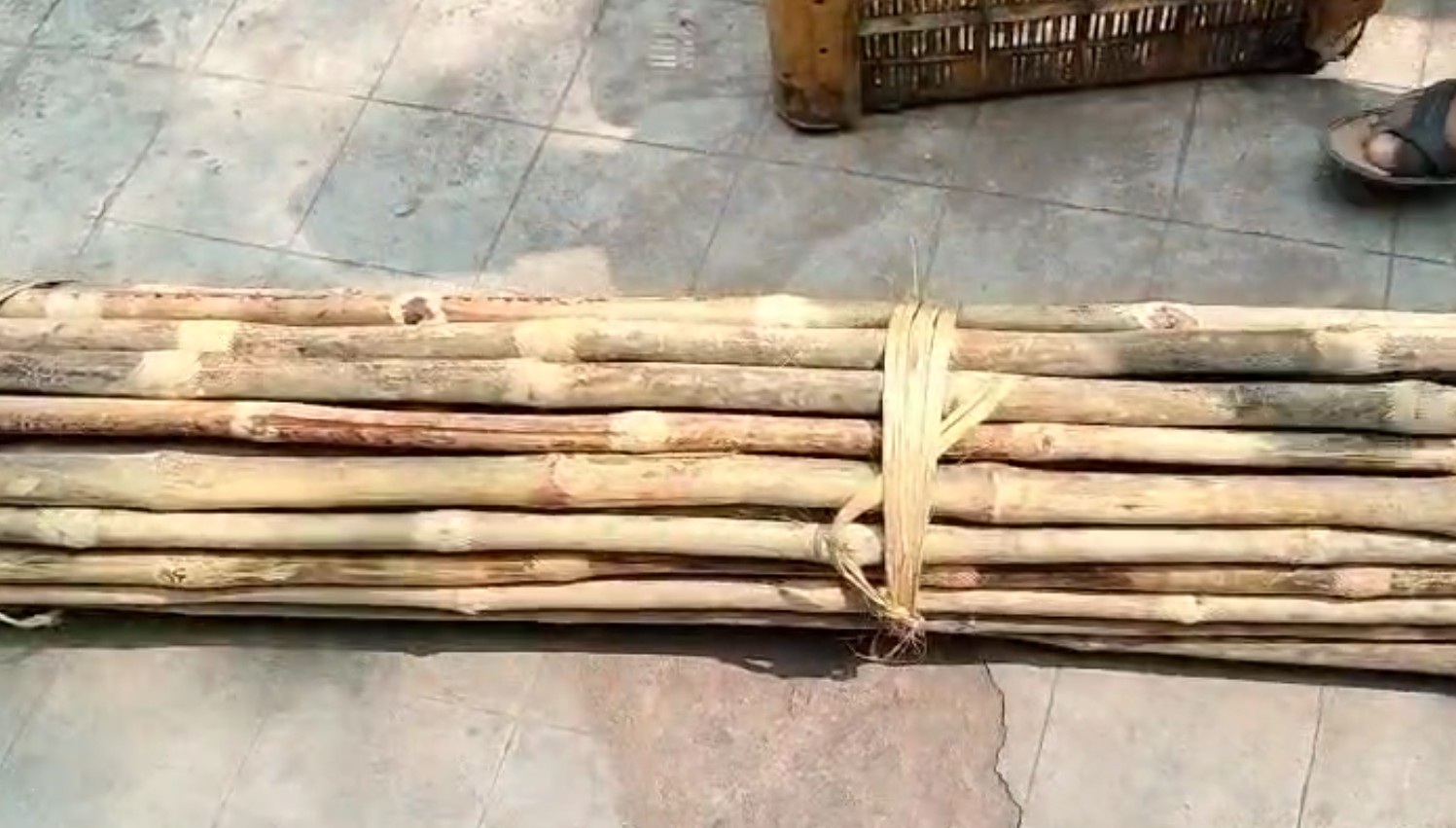 ଖଣ୍ଡଗିରି ଯାତ୍ରାରେ ବୁଲିବ ଠେଙ୍ଗା