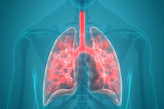 Lung Health And Wellness