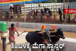 Mega sponsorship for Kambala