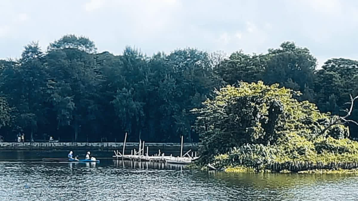 Rabindra Sarovar Pollution