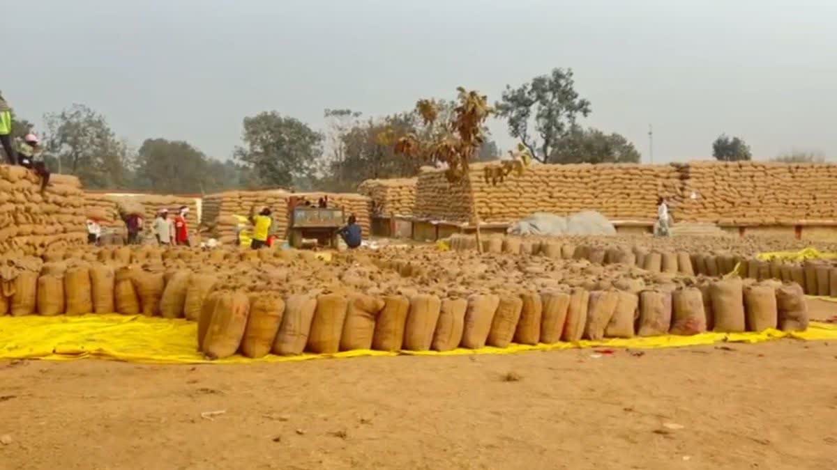 PADDY LIFTING IN KORBA