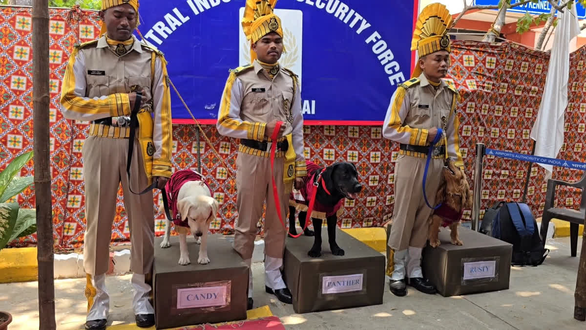 Chennai CISF's Veteran Sniffer Dogs Employed At Airport Retire After Eight Years Of Service