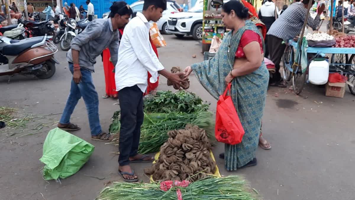 Vidisha holi celebration