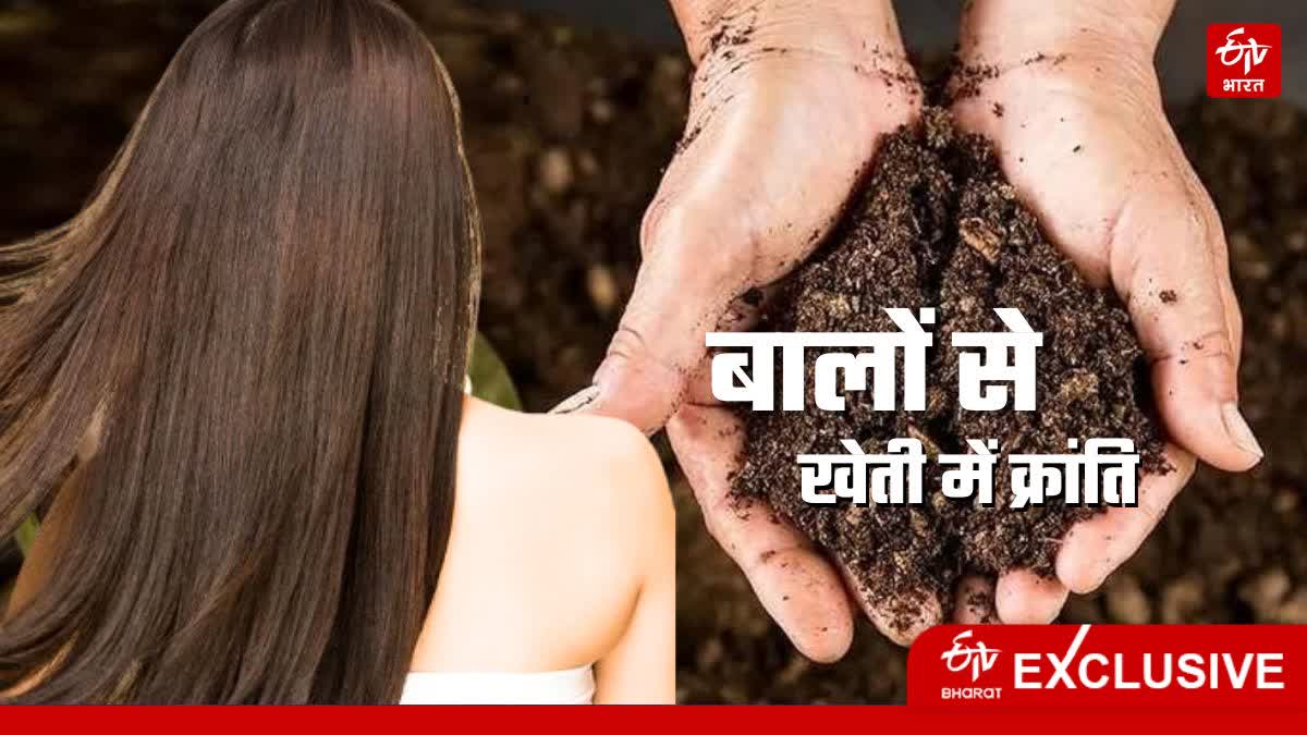 युवा रिसर्चर ने इंसानी बालों से खाद बनाया.