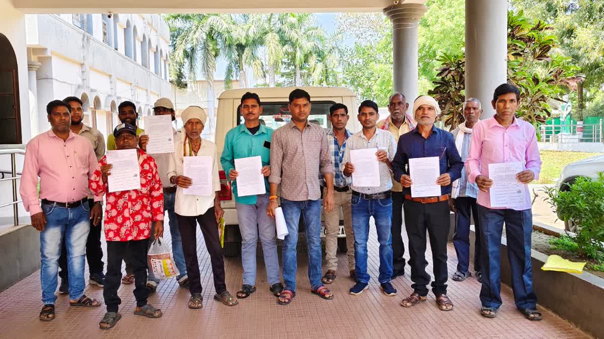 CUTTING TREES WITHOUT PERMISSION