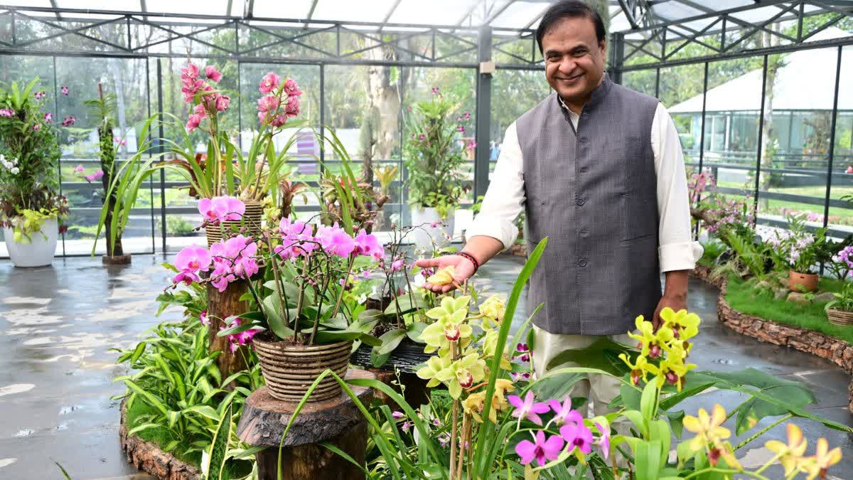 orchid park in kaziranga