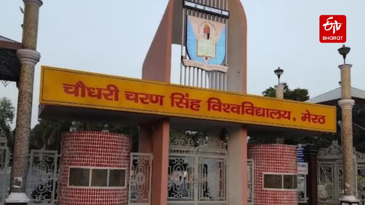 चौधरी चरण सिंह विश्वविद्यालय