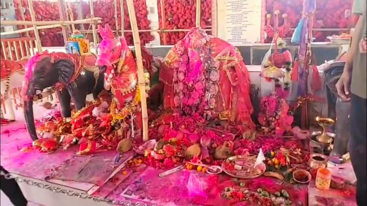 UNIQUE TRADITIONAL DEV HOLI