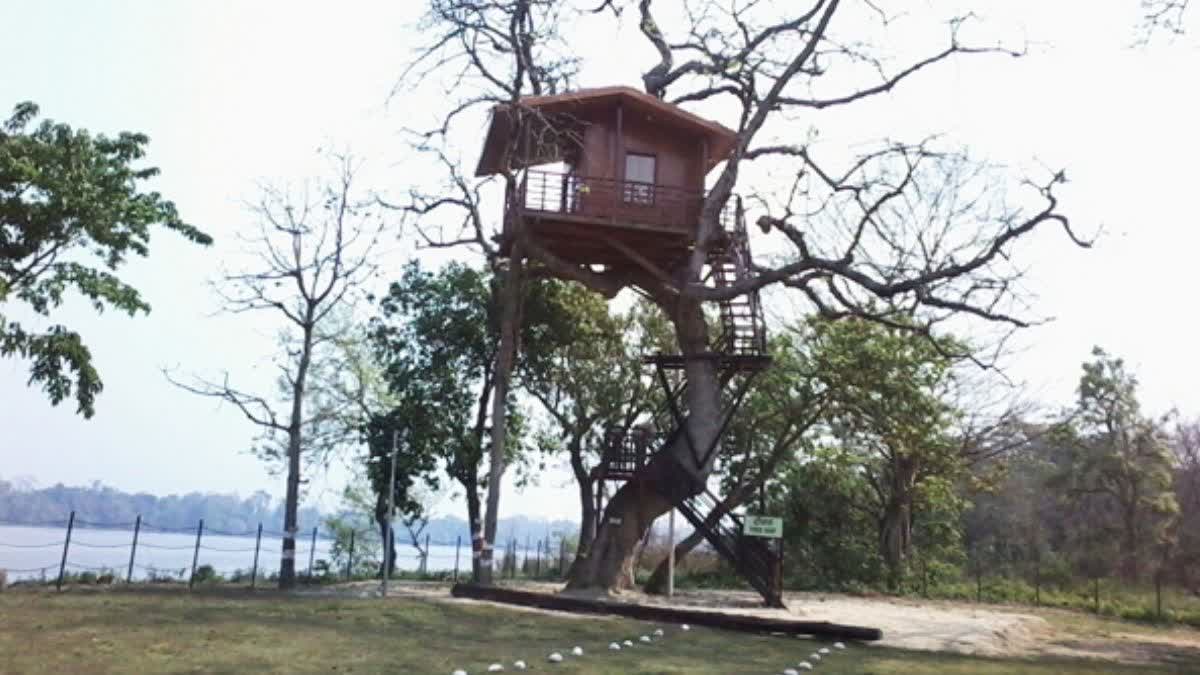 Photo Credit: ETV Bharat