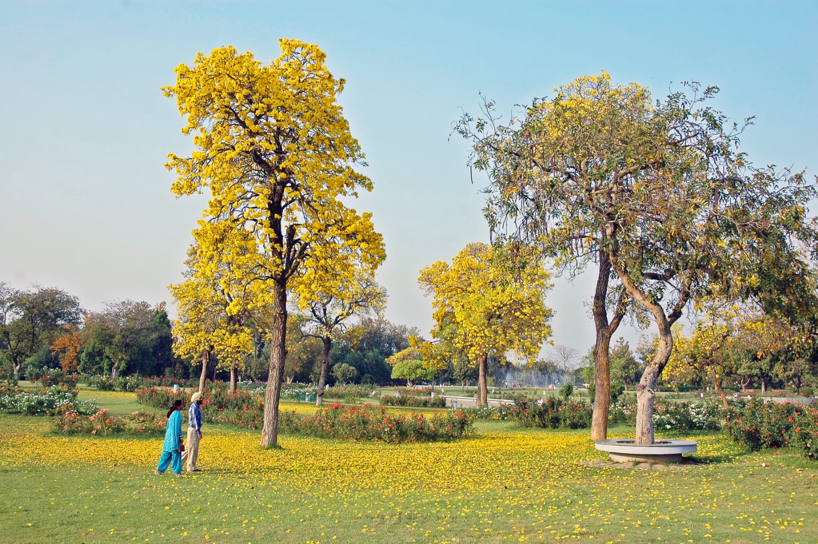 Rose Garden Chandigarh