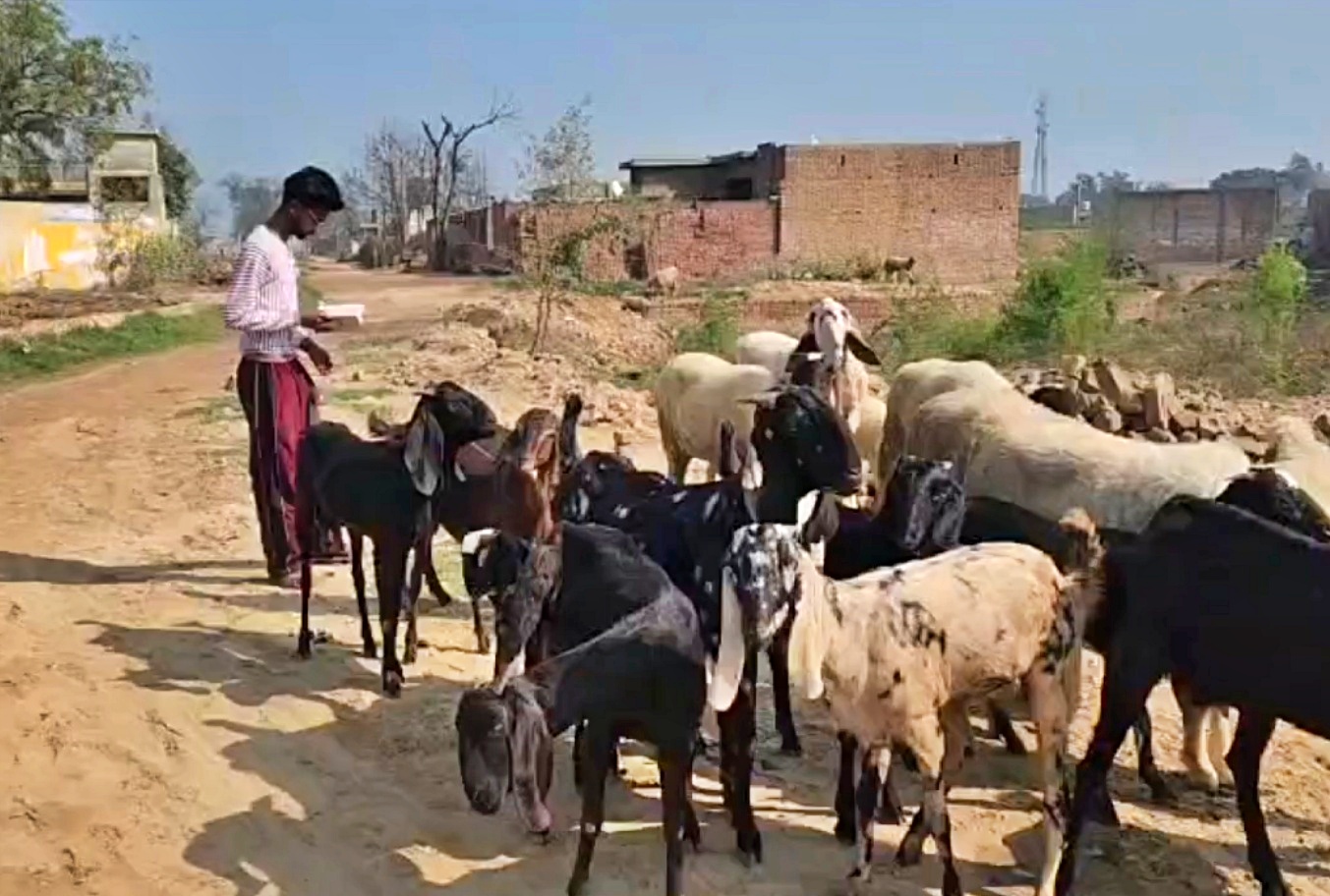ജെആര്‍എഫ്  നെറ്റ് എക്‌സാം ഫസ്റ്റ് റാങ്ക്  ജെആര്‍എഫ് റാങ്ക്  കോമൾദീപ് സിങ്