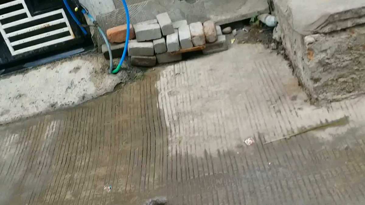 indore mayor not celebrate holi