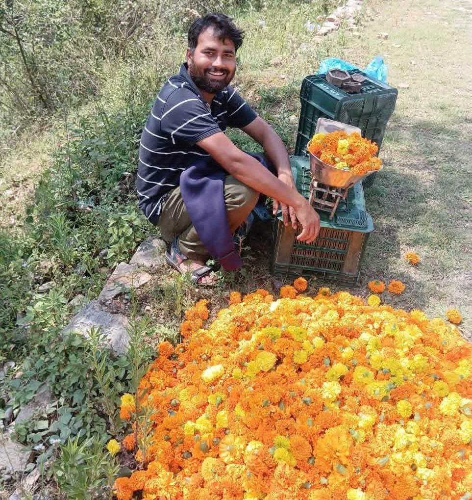 Kapil Sharma Governor Award