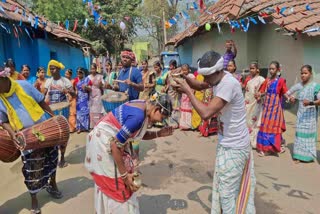 Members of tribal community play Baha festival in Haramdihi village.