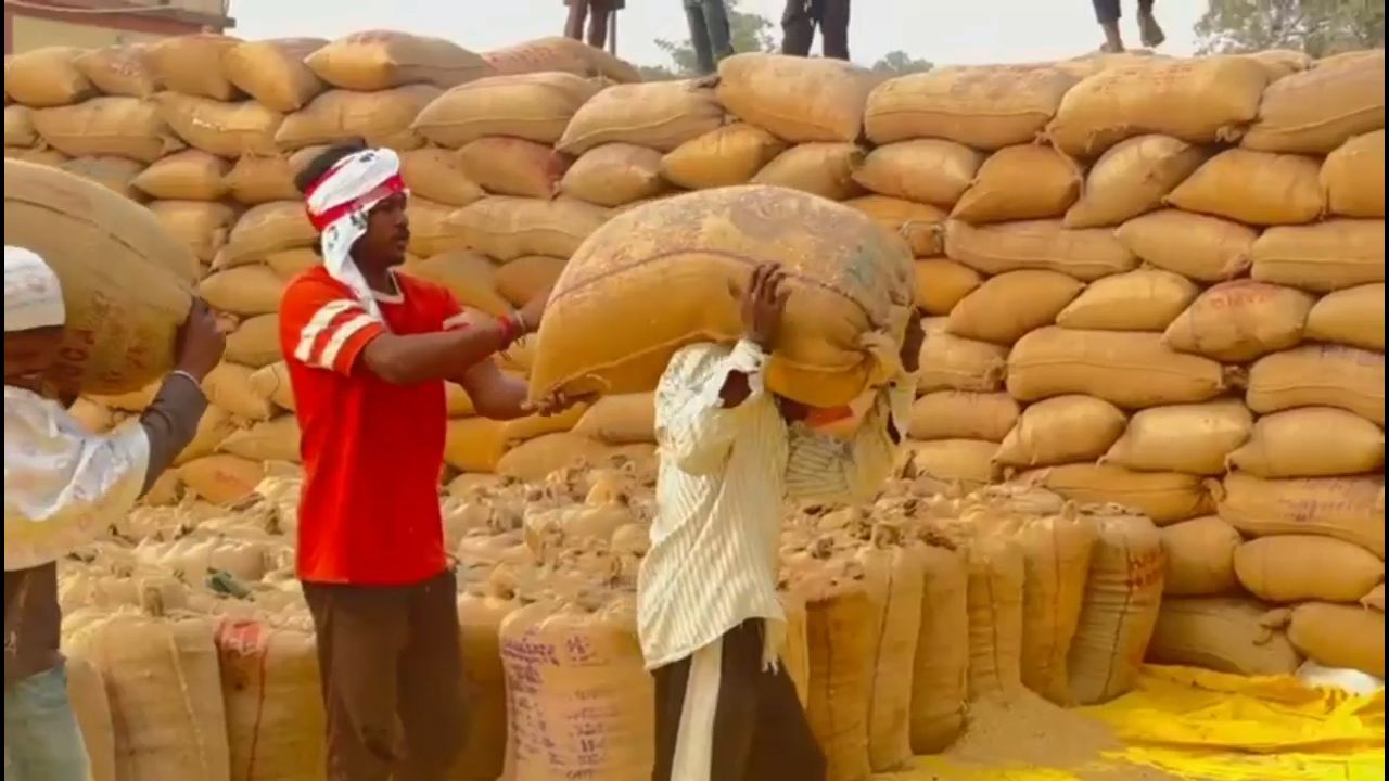 PADDY LIFTING IN KORBA