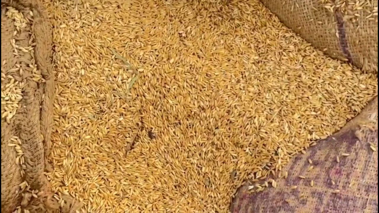 PADDY LIFTING IN KORBA