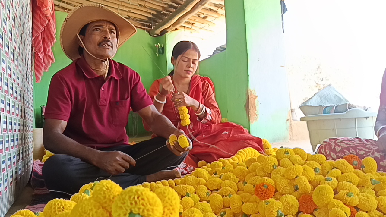 Ratna Majumdar cultivates marigold flowers