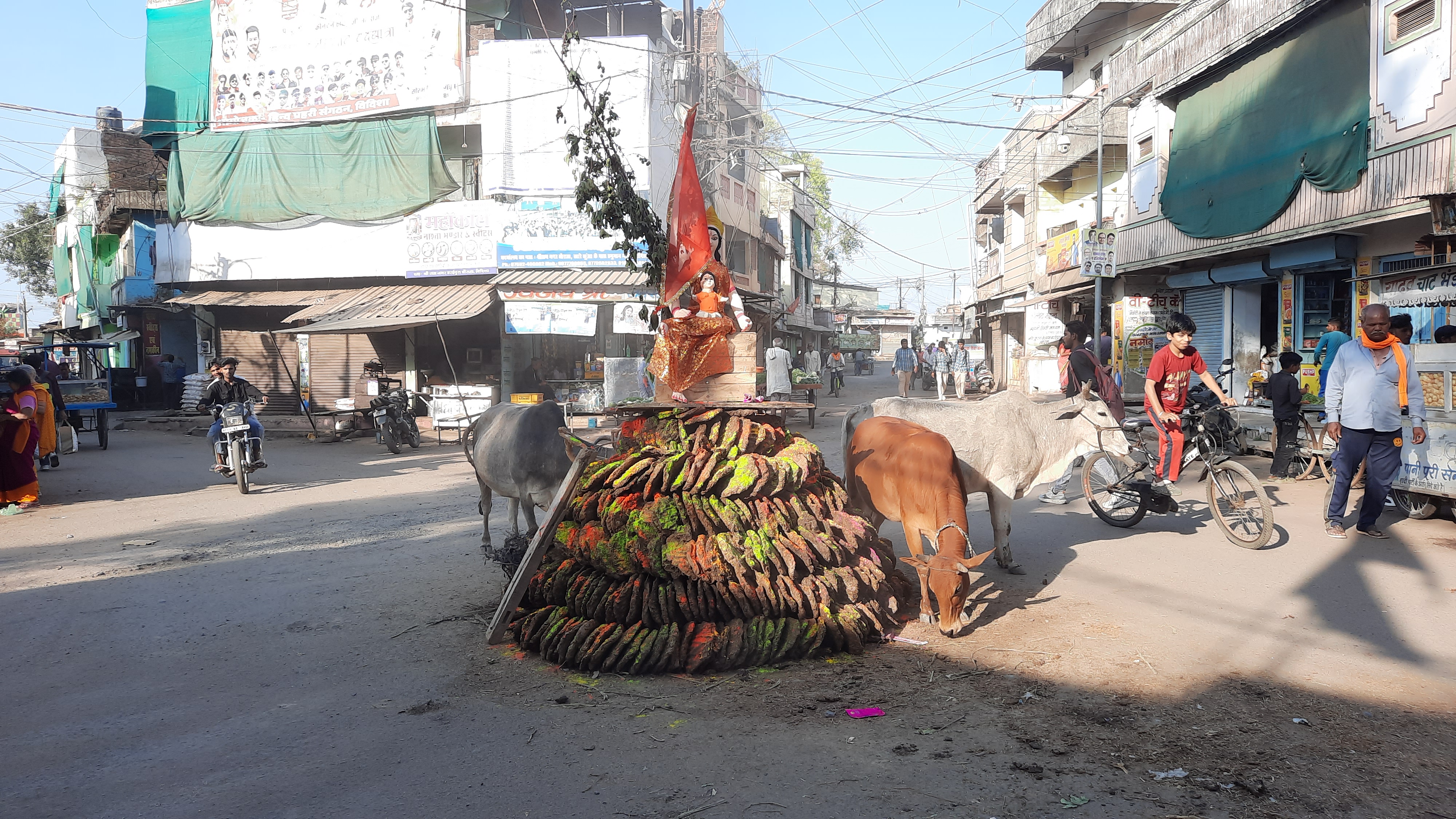 Vidisha holi celebration