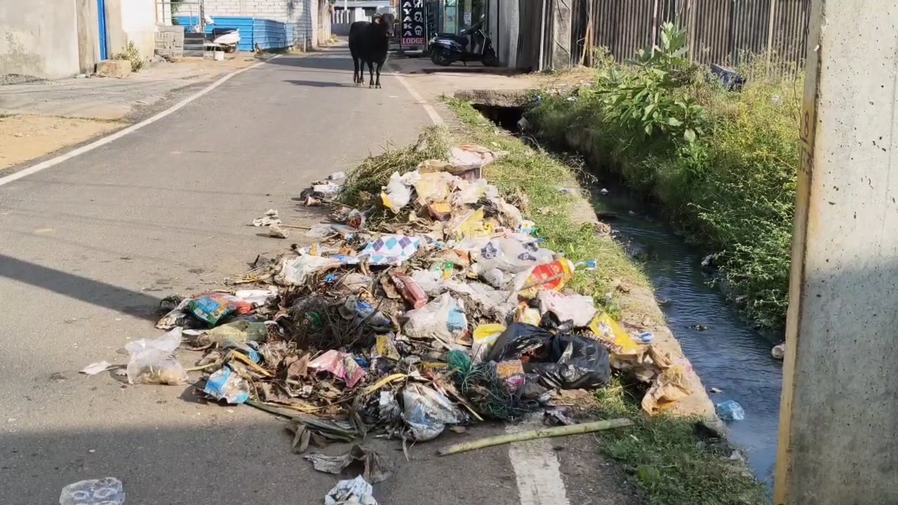 There is a lot of garbage lying around.