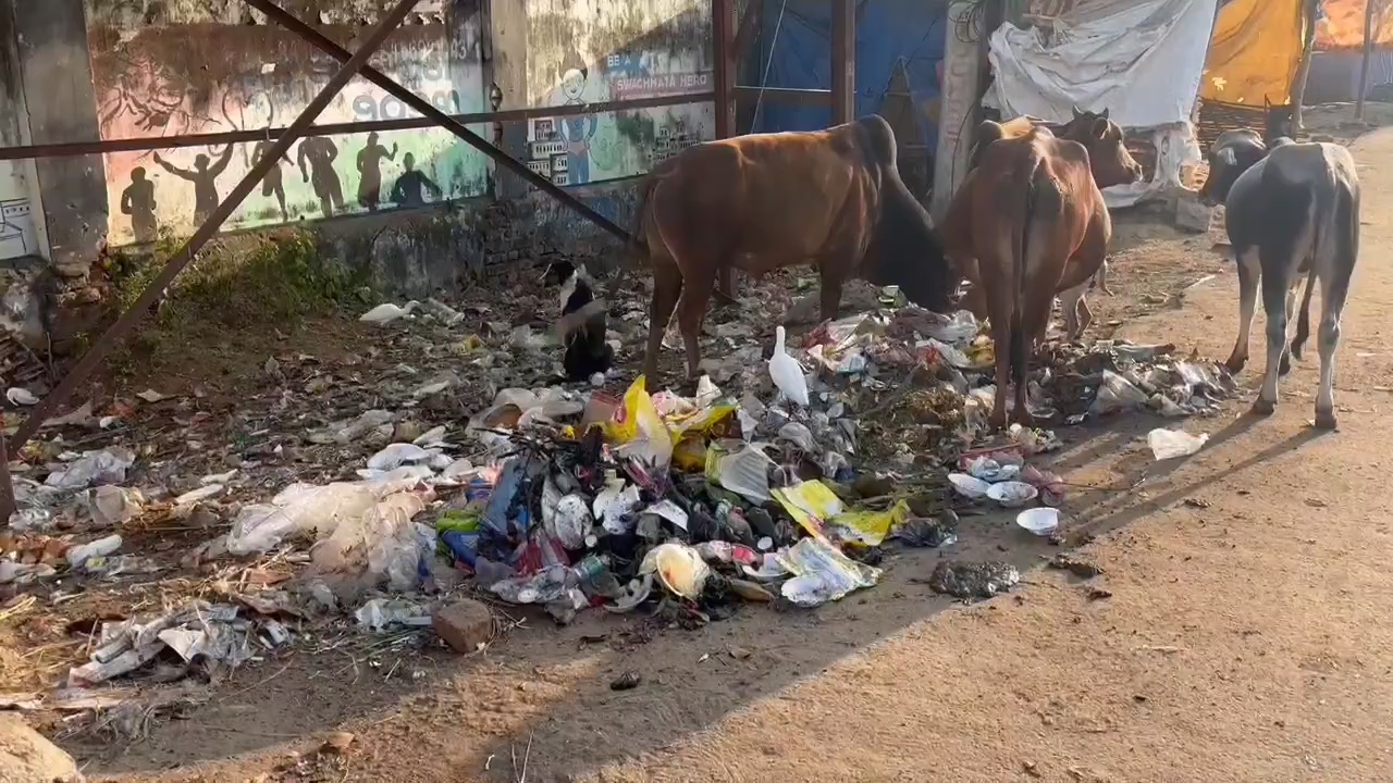 no garbage collection from 20 wards.