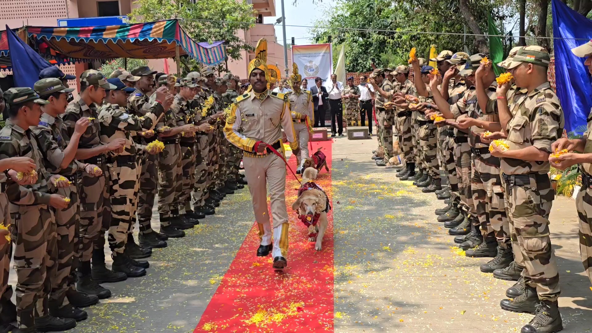 Chennai CISF's Veteran Sniffer Dogs Employed At Airport Retire After Eight Years Of Service