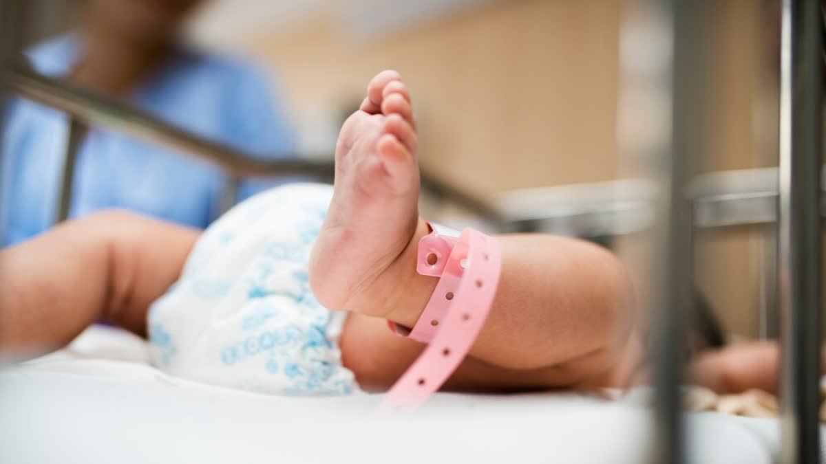 Does Premature Delivery Affect Baby's Brain Development