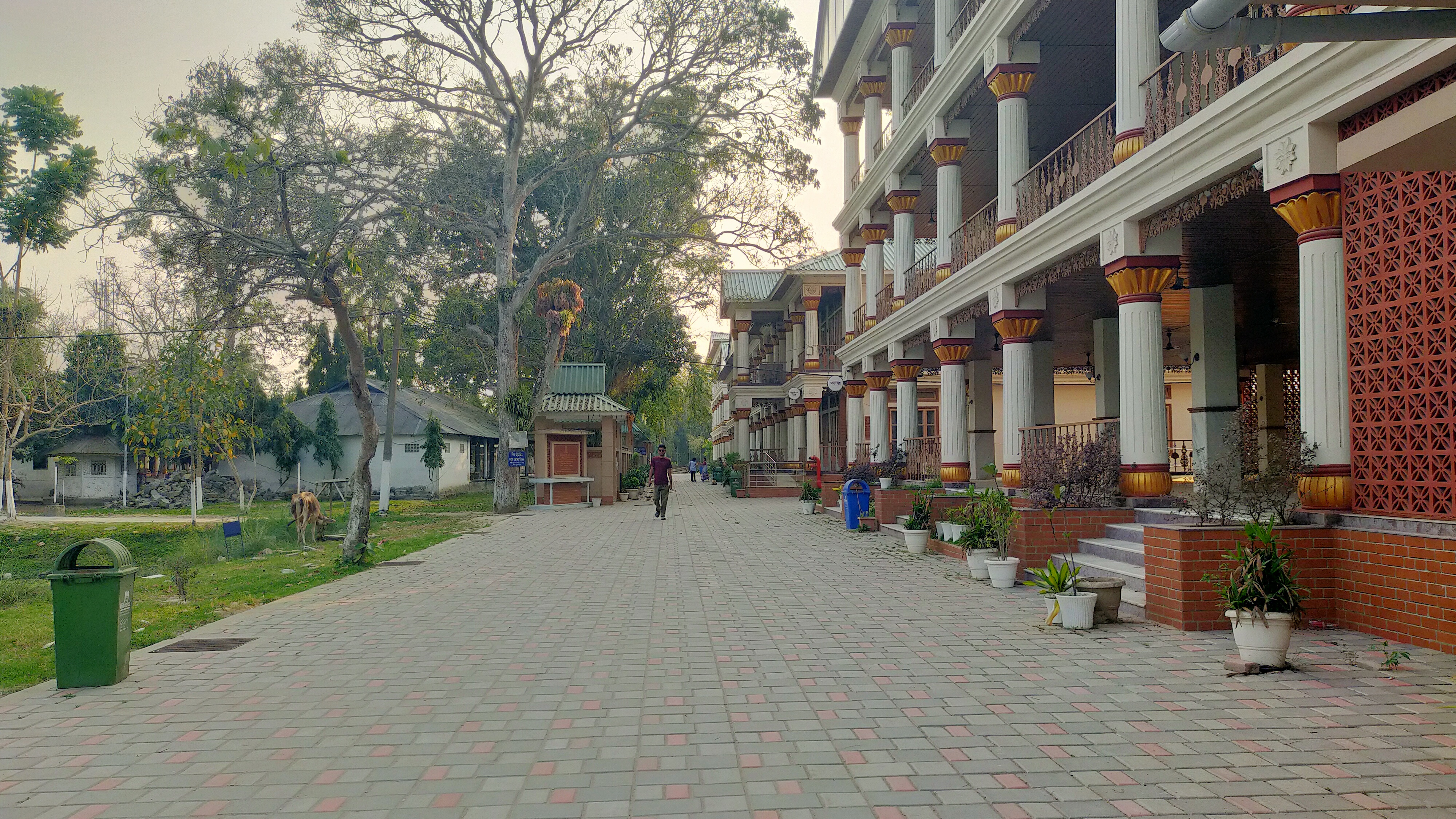 Assam youth proposes to include Borduwa Than in world heritage Site