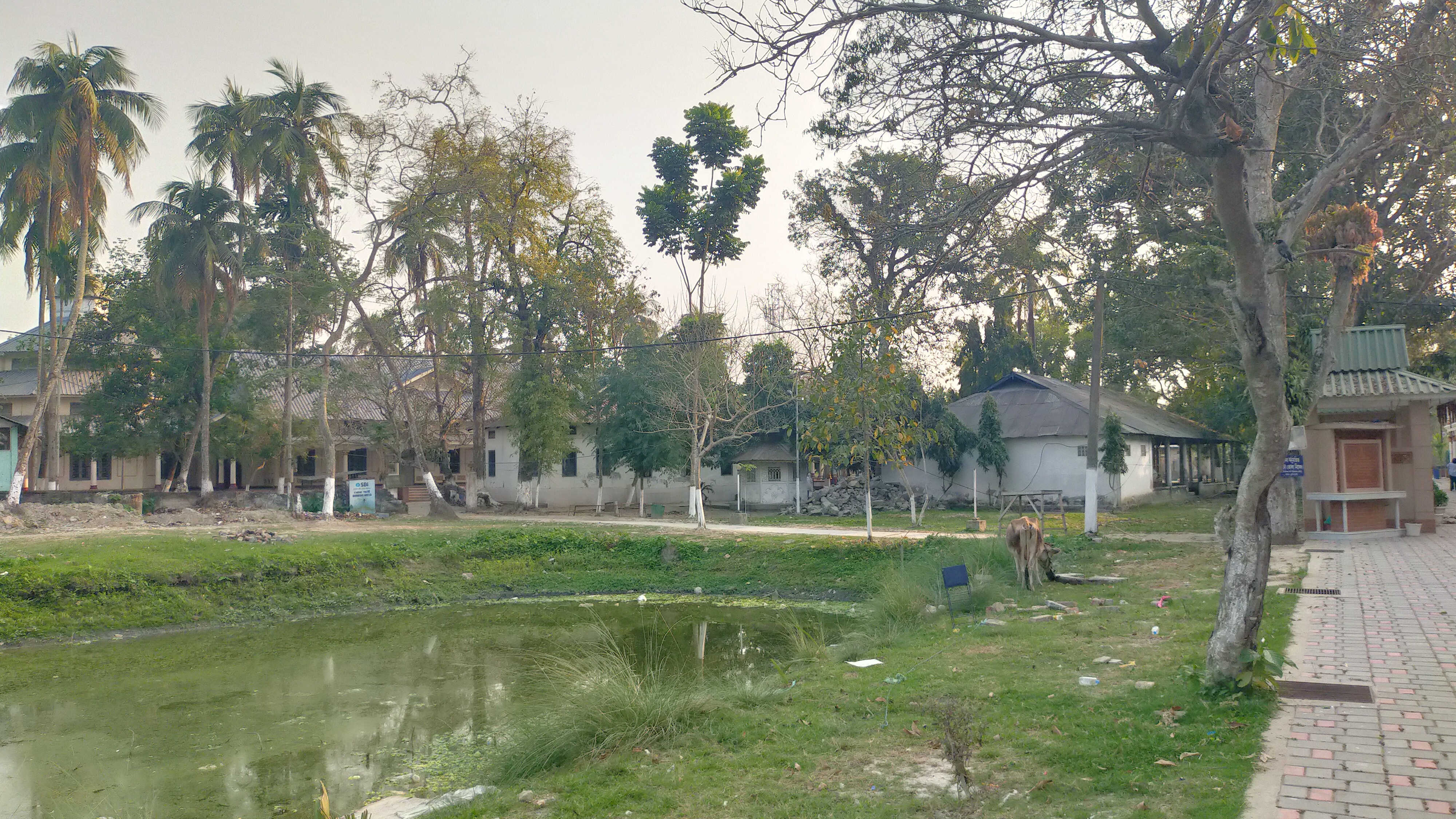 Assam youth proposes to include Borduwa Than in world heritage Site