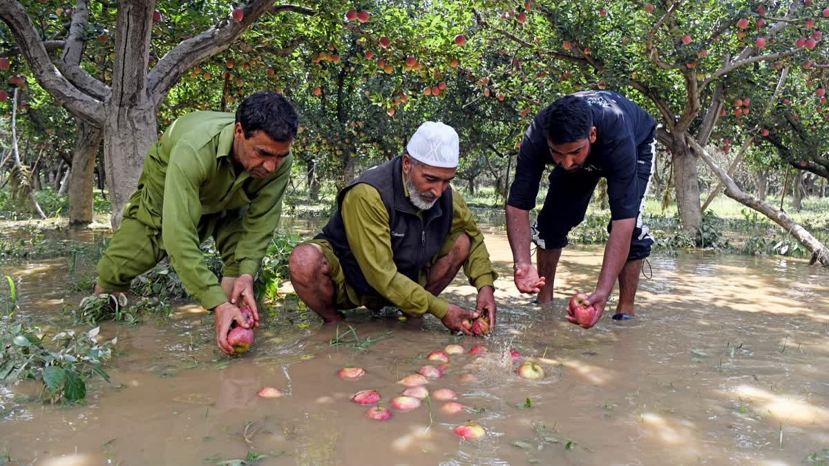 ETV Bharat News - Politics - News Image