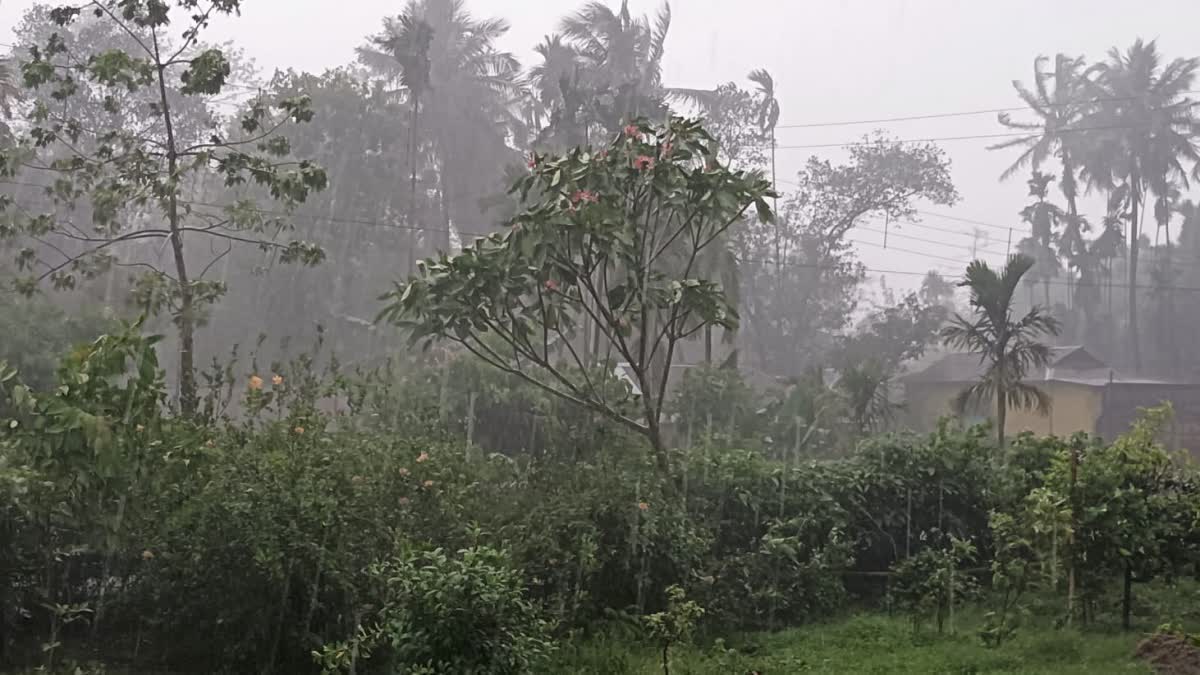 WEST BENGAL WEATHER UPDATE