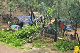 Himachal Weather Update