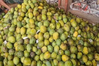 MANGO TRUCK VANISHED