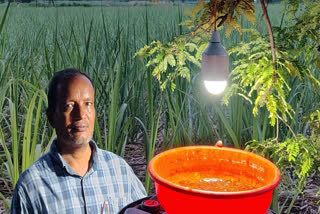 Know How To Make Light Trap With Simple Method To Control White Grub In Crops