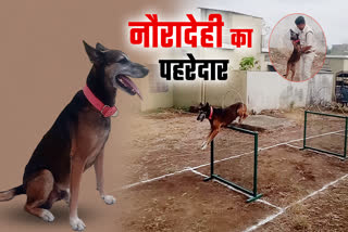 NAURADEHI TIGER RESERVE SNIFFER DOG