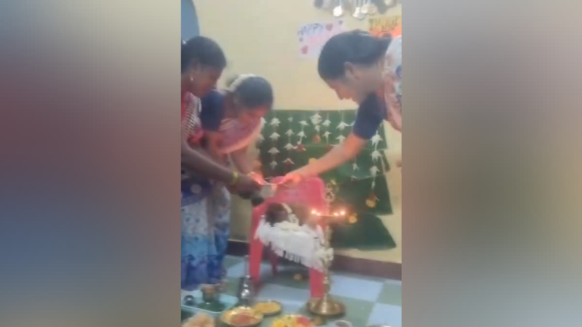 பூனைக்கு வளைகாப்பு