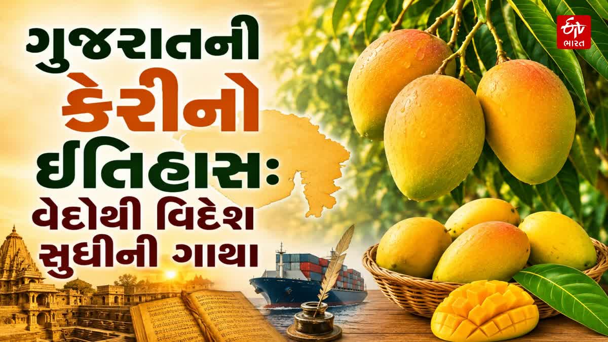 ગુજરાતમાં ઉગાડાતી કેરીની વિવિધ જાતોનો અદ્ભુત ખજાનો અને તેનો રસપ્રદ ઈતિહાસ