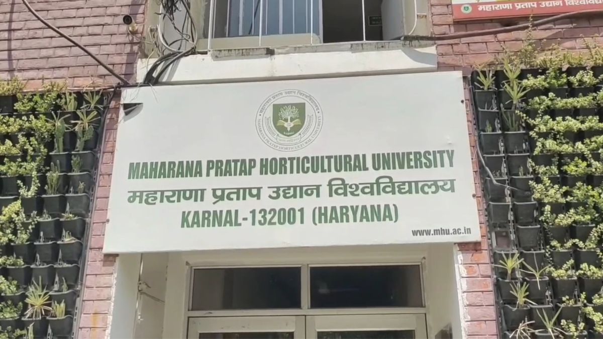 Haryana University Develops Medicinal Spice Varieties to Boost Farmer Income and Health