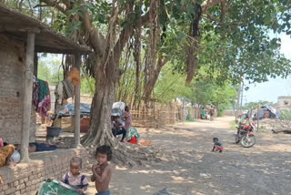 Malnourished children and absence of basic amenities negate the government's claims of widespread development in villages across Odisha.