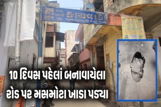 રોડની ગુણવત્તાને લઈને ઉઠ્યા સવાલ