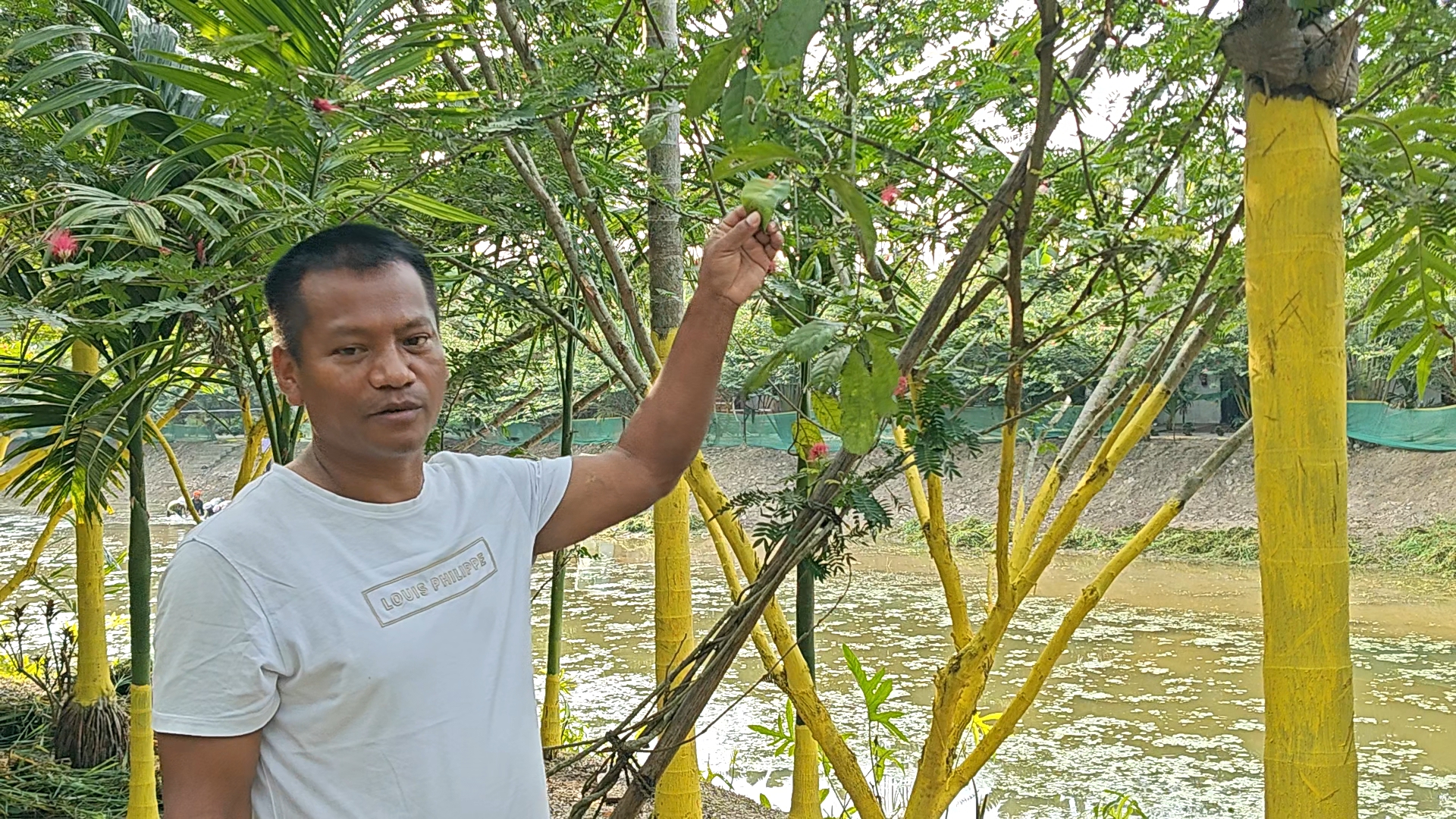 Halali Resort Dhemaji