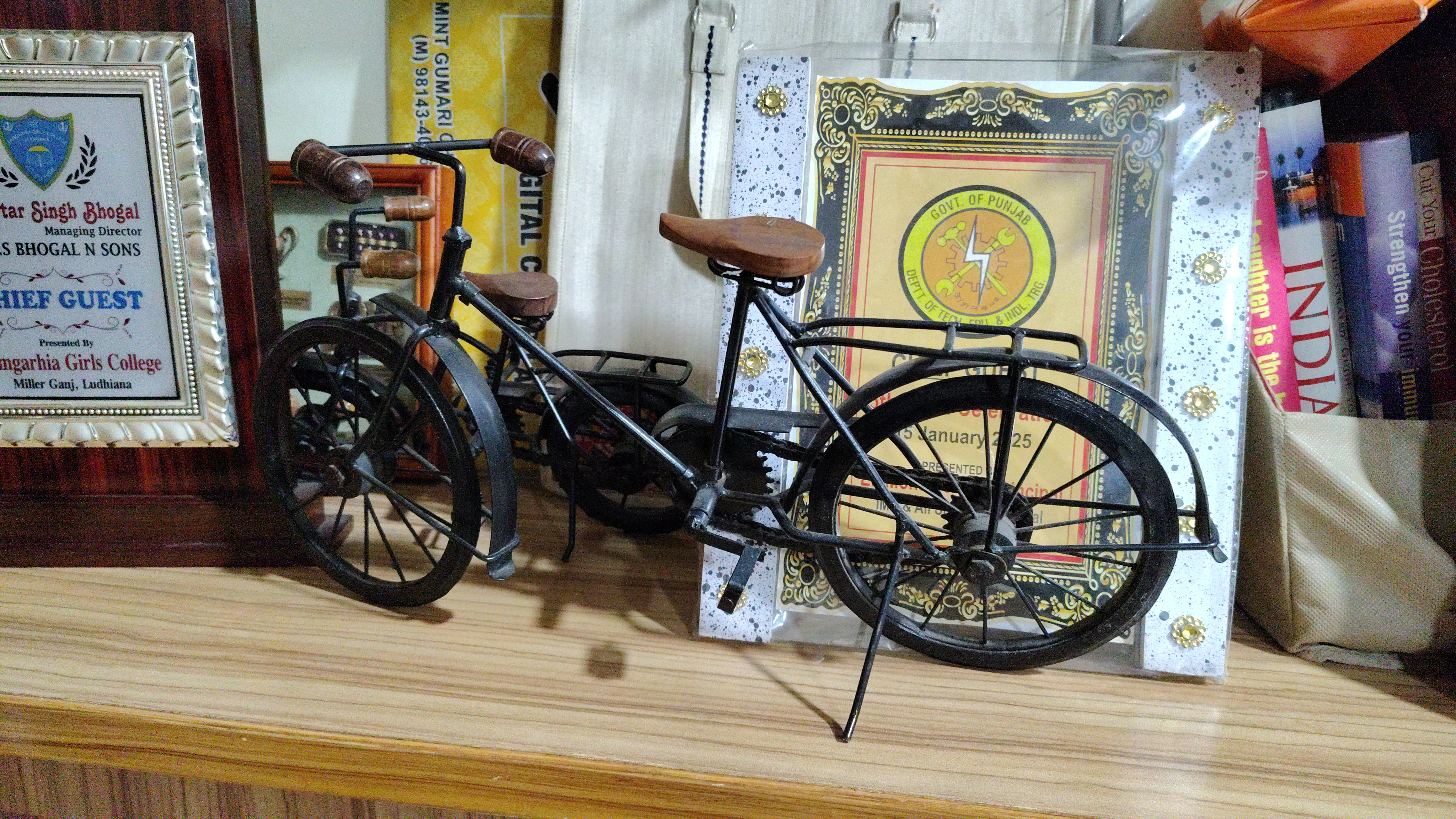 world cycle day