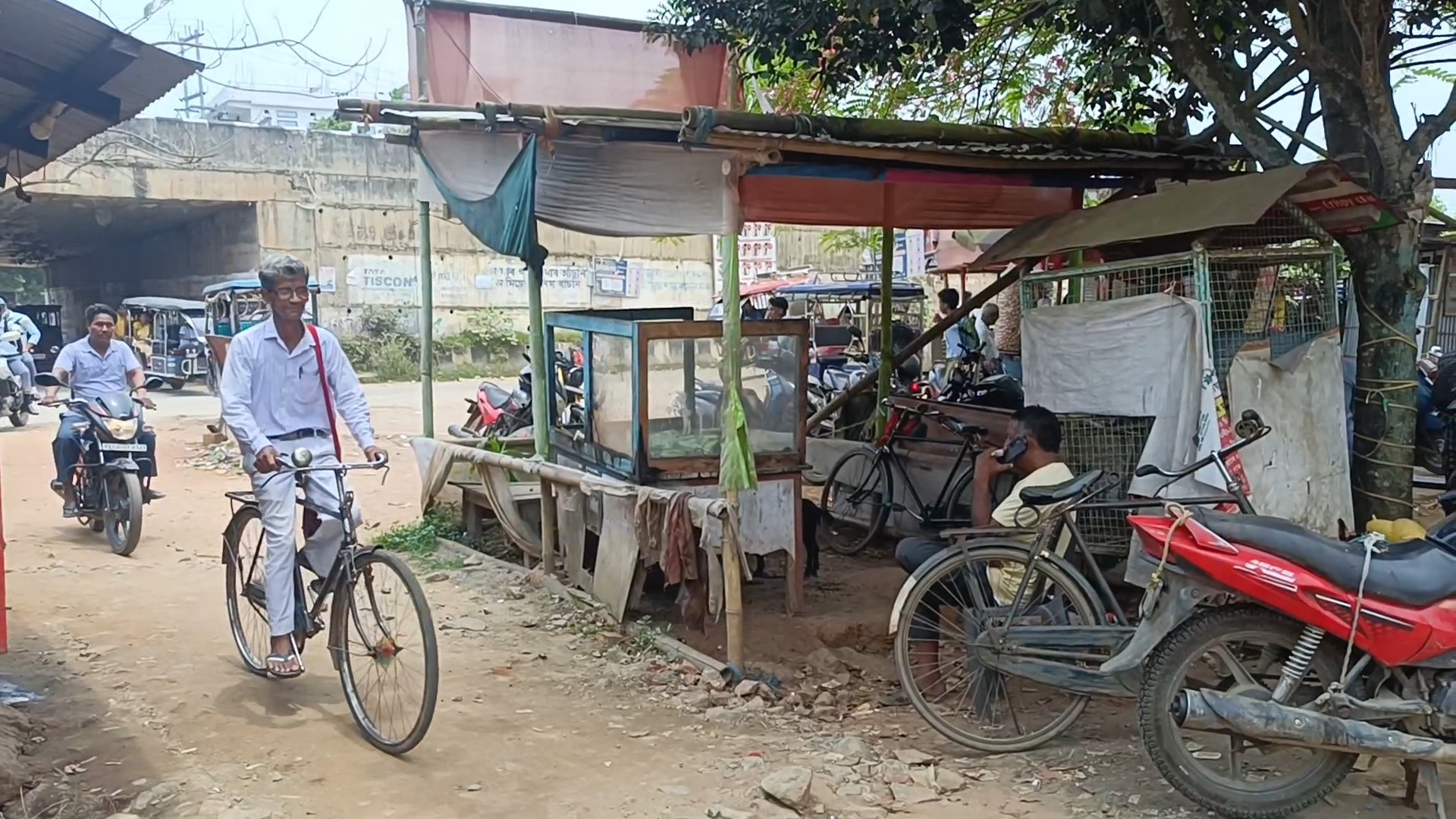 World Bicycle Day 2026