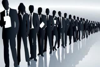 up rojgar mela 2025 sangam employment fair jobs employment news