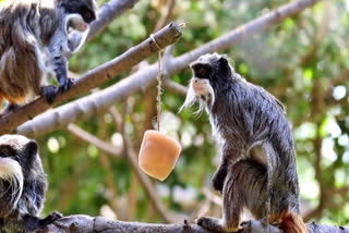 A severe heatwave grips Europe, with temperatures nearing 40 degree Celsius, disrupting transport and shrinking rivers.