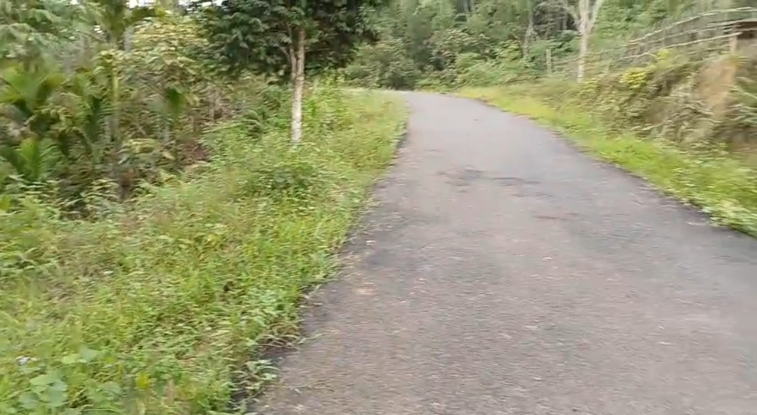 Naga encroachment at Mariani