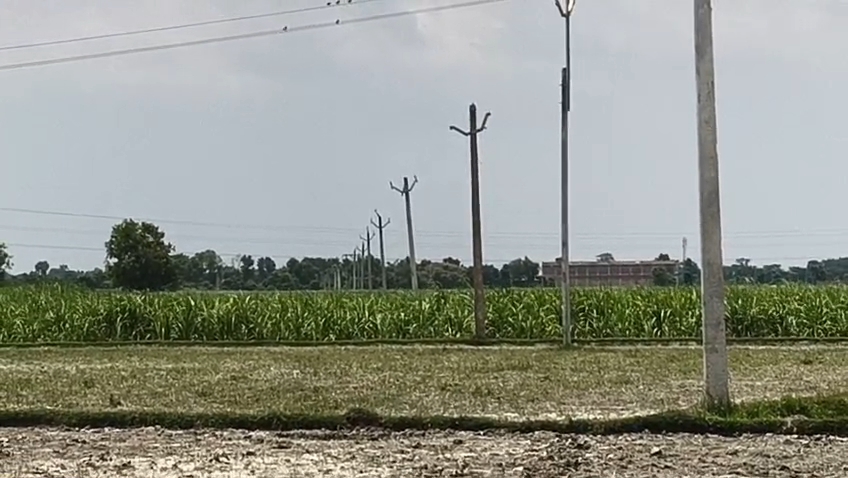 Theft of power cables in Bettiah