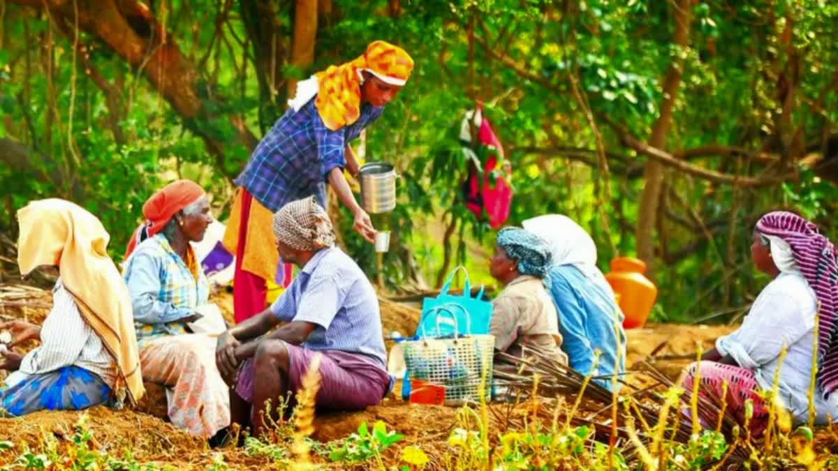 NEW REFORMS IN VB G ram G  VB G ram G SCHEME  THOZHILURAPPU SCHEME  VB G ram G