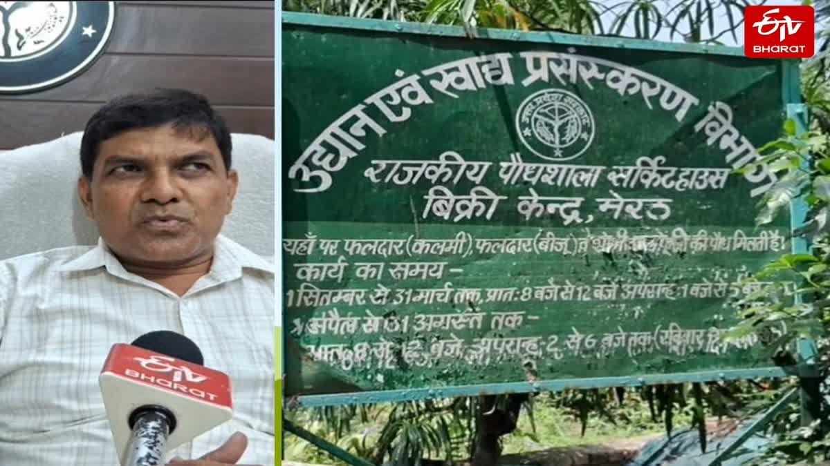 मेरठ मंडल में पौधरोपण की तैयारी.