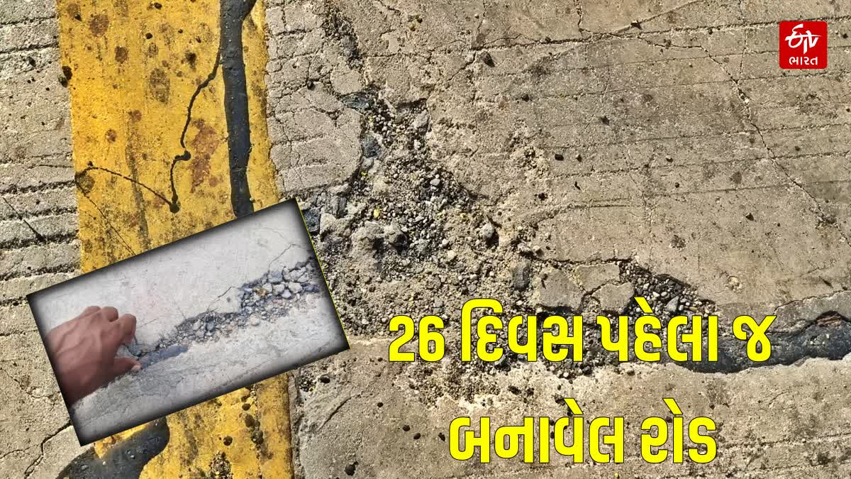 મેયરે આપ્યા તપાસના આદેશ